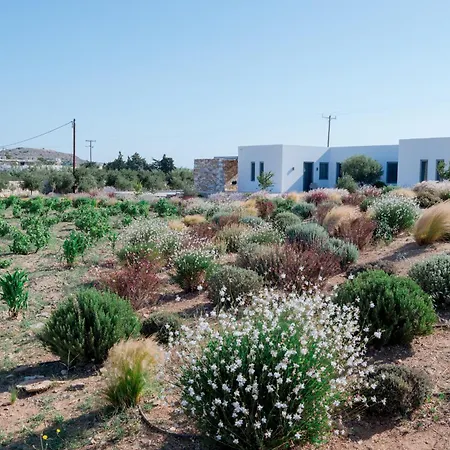 Bracket House Paros *