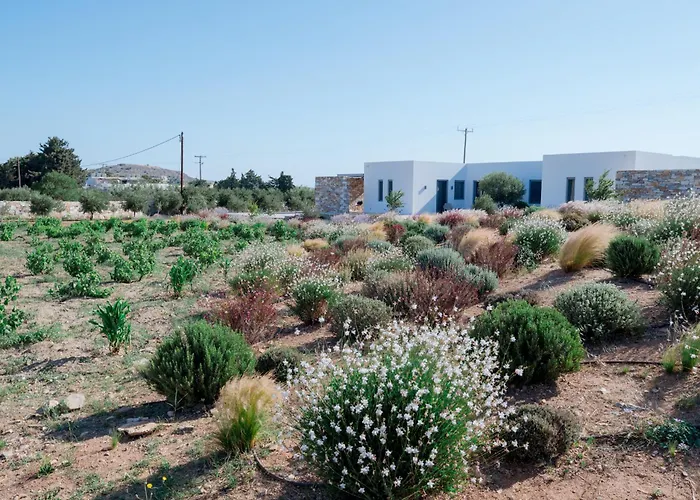 Bracket House Paros *